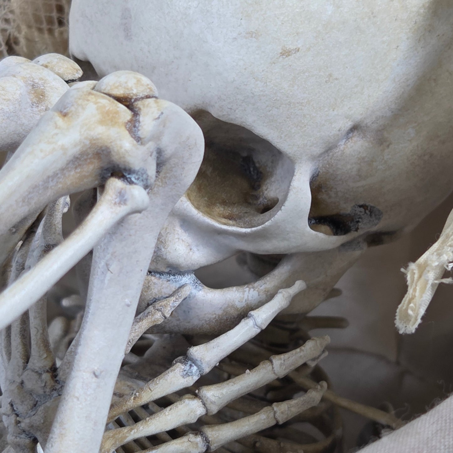 Faux Replica Fetus Skeleton in Pram