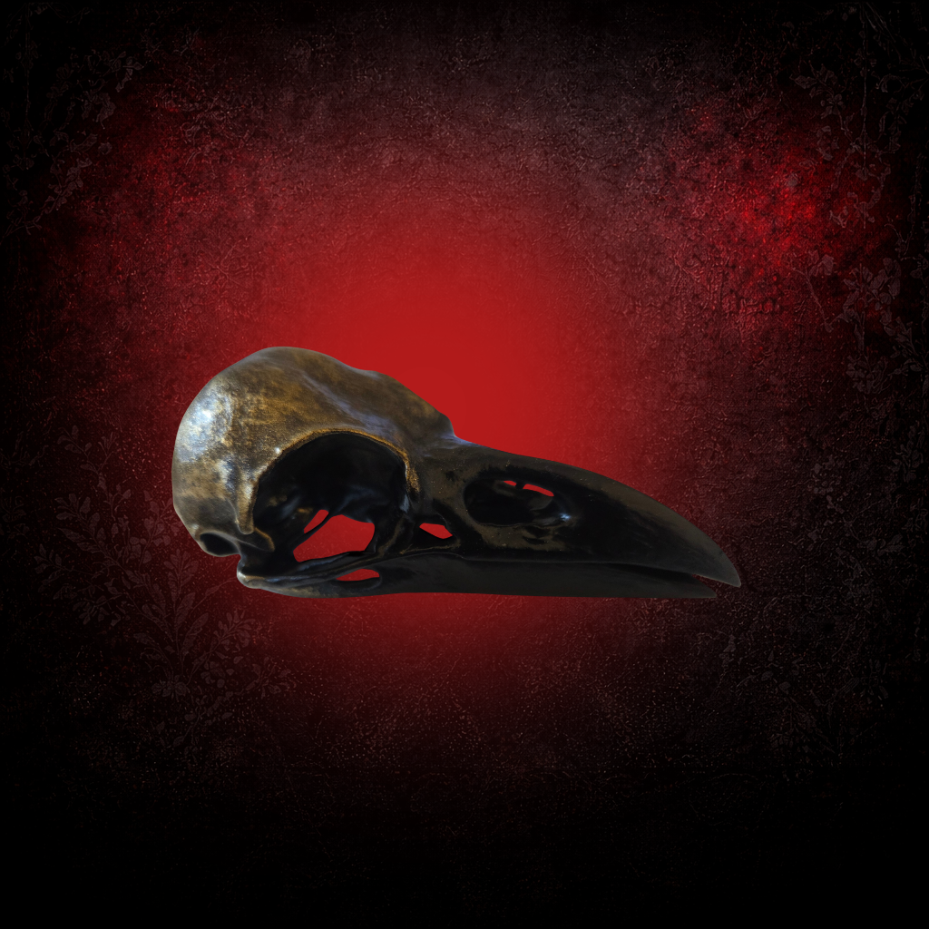 Dark raven skull gothic decor piece