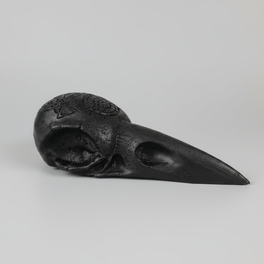 Decorative faux raven skull ornament with occult symbols and antique gothic finish