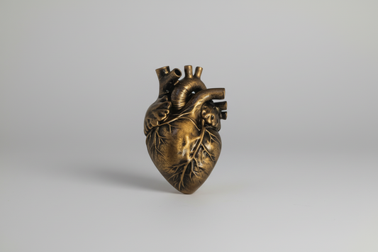 Anatomical heart cabinet knob gothic furniture decor

