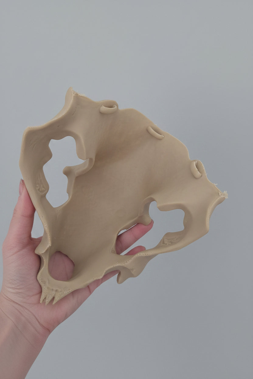 Person holding a large bear skull inspired pauldron with gothic carved detailing designed for cosplay and dark fantasy costumes by Darkmoon Designs. Inside view.
