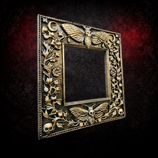 Death's head moth light switch surround gothic wall decor