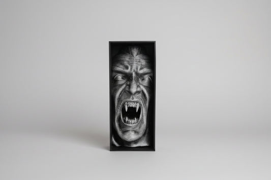 Dracula vampire book nook hand painted silver gothic bookshelf insert Darkmoon Designs