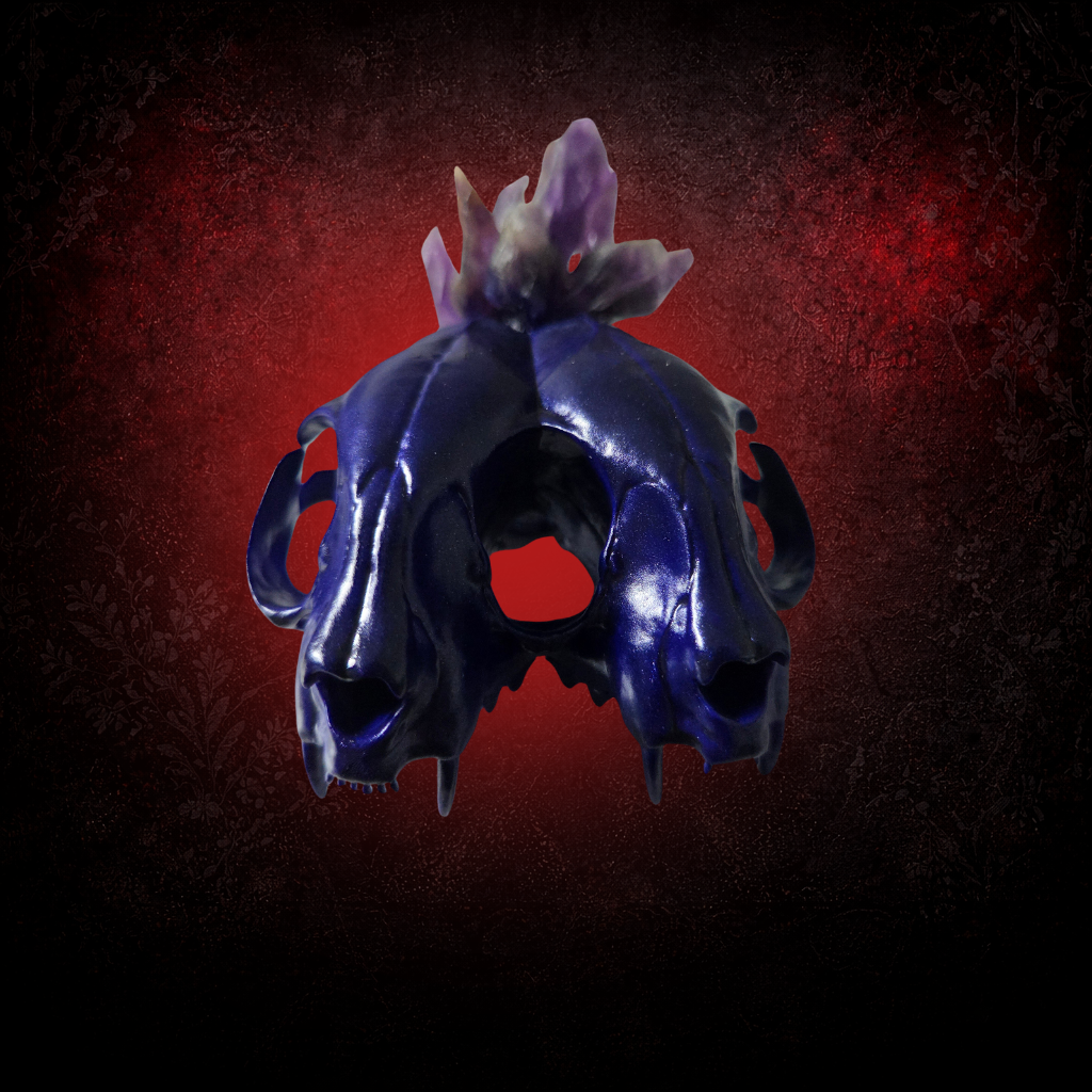 Two headed cat skull oddities display