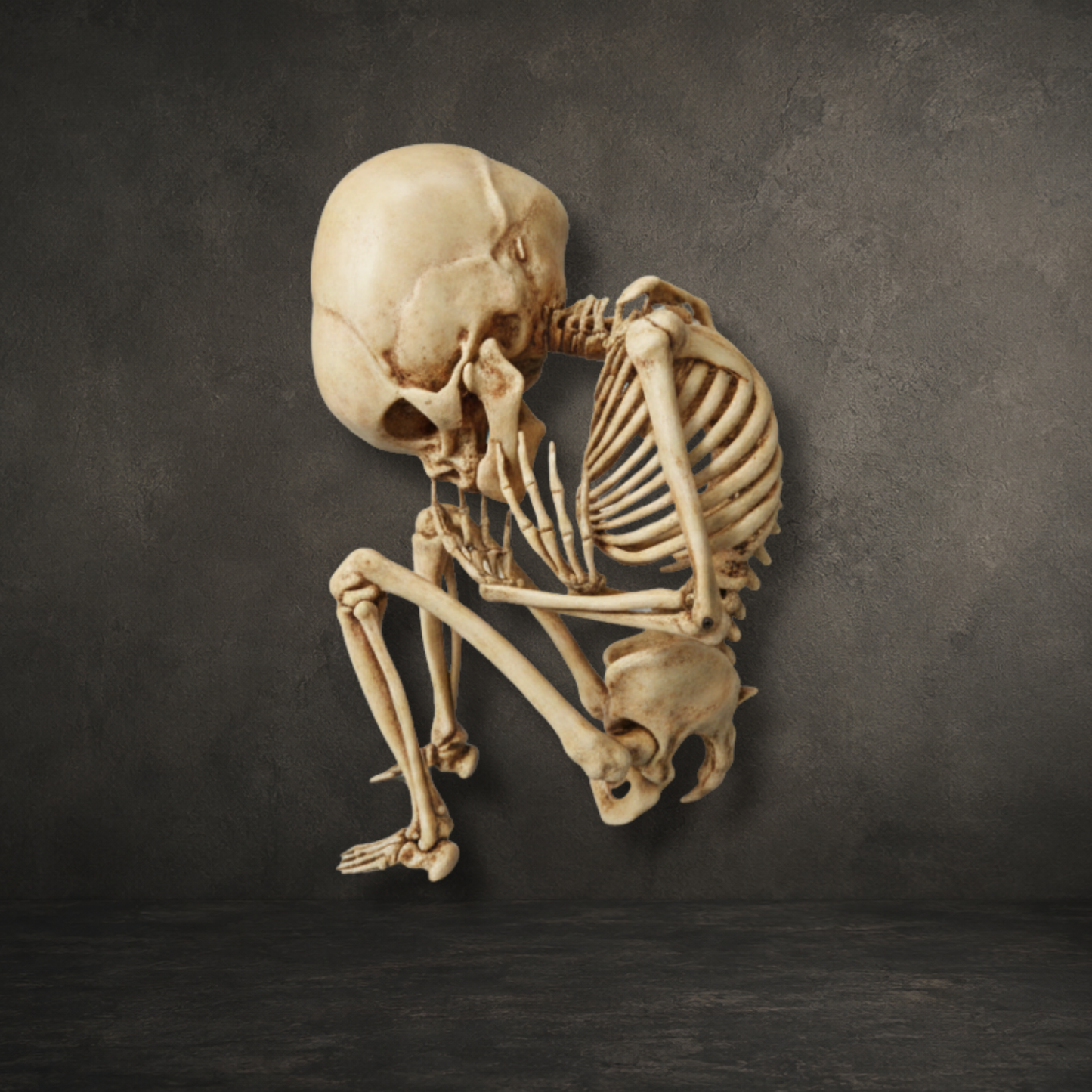 Detailed gothic fetus skeleton replica displayed as a cabinet of curiosities ornament, resin printed and hand painted.