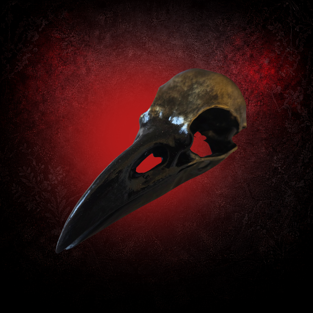 Raven skull ornament for curiosity cabinet display