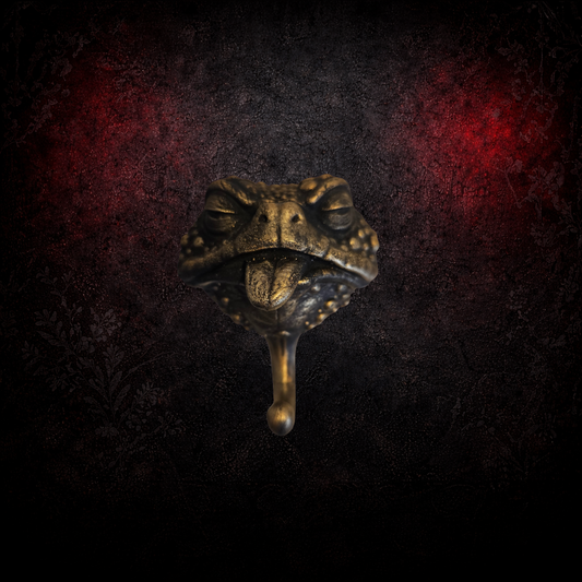 Gothic toad coat hook strange wall decor
