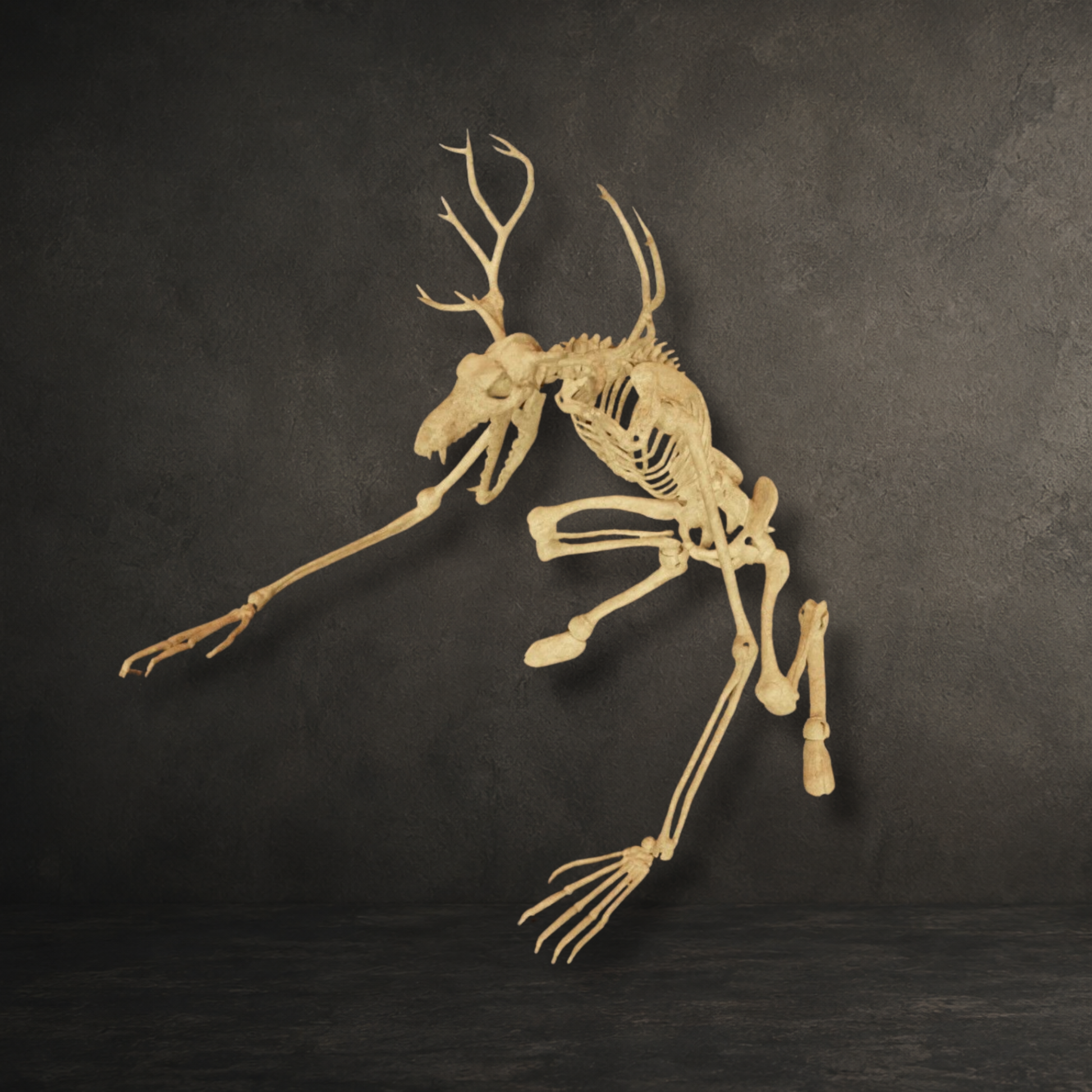 Highly detailed Wendigo skeleton replica, resin printed and hand painted for gothic home décor, dark fantasy displays and cryptid collections.