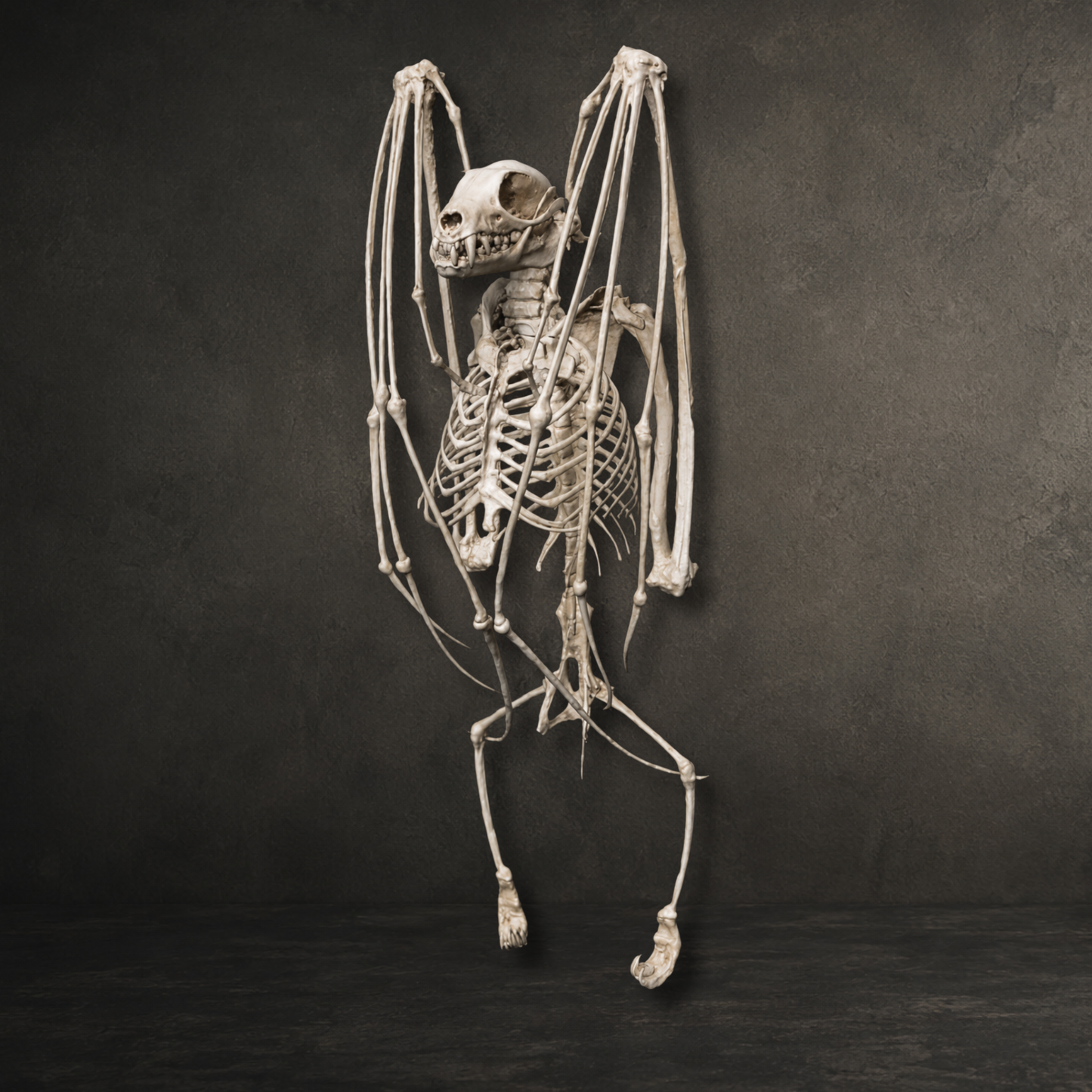 Hand painted resin printed fruit bat replica skeleton with realistic bone finish for gothic décor and curiosity cabinet displays.