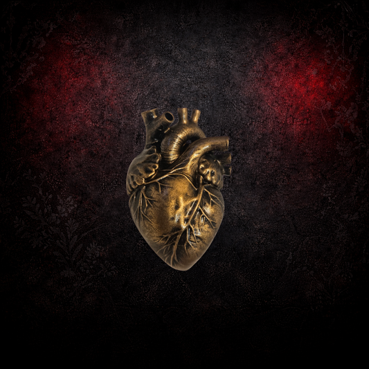 Anatomical Heart Cabinet Knob | Hand Painted Bronze | Resin Drawer Handle | Gothic Hardware