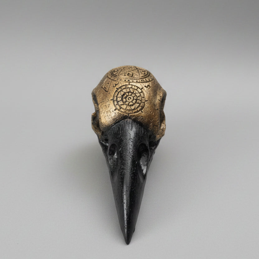 Resin cast raven skull with occult engraved symbols finished in black and antique bronze