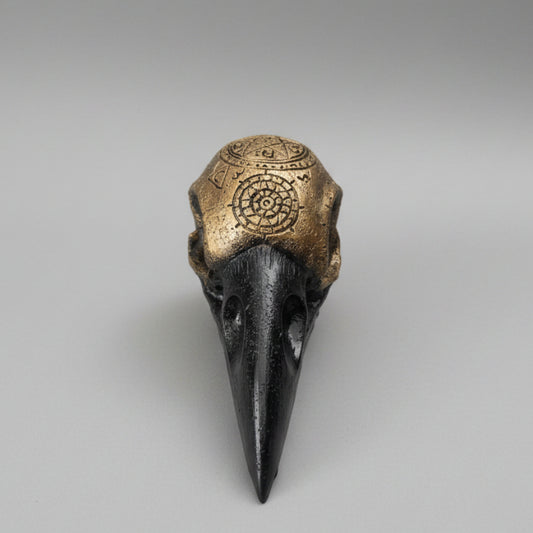 Resin cast raven skull with occult engraved symbols finished in black and antique bronze