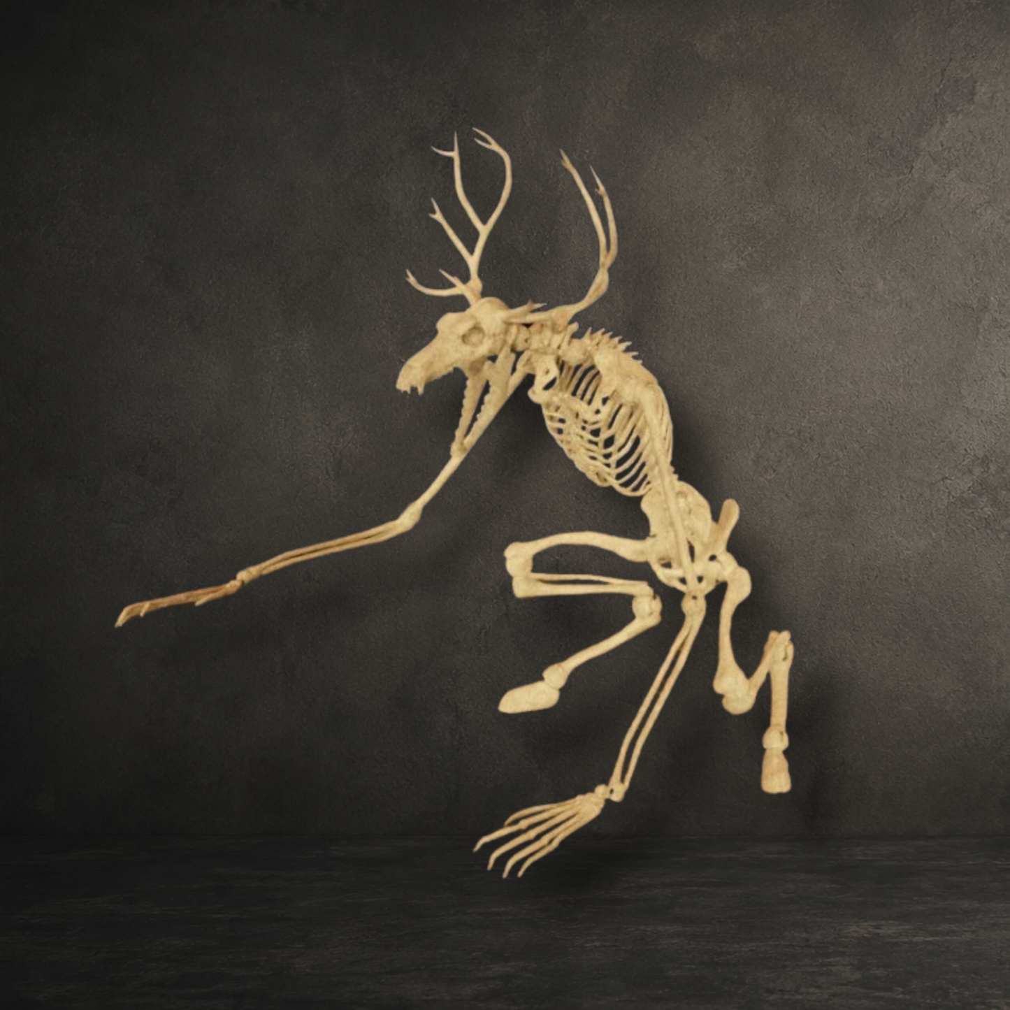 Slightly poseable resin printed Wendigo skeleton with hand painted bone finish for curiosity cabinets and horror collections.