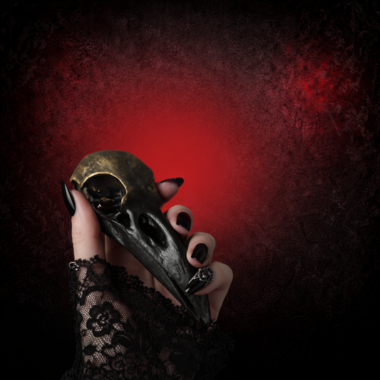 Gothic raven skull display for dark home decor