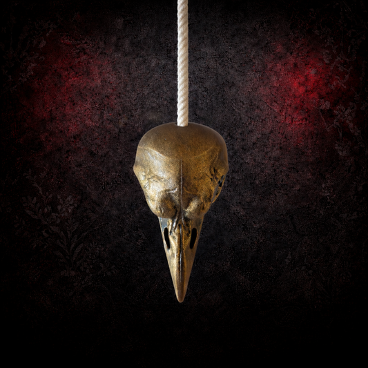 Raven skull light pull gothic bathroom decor