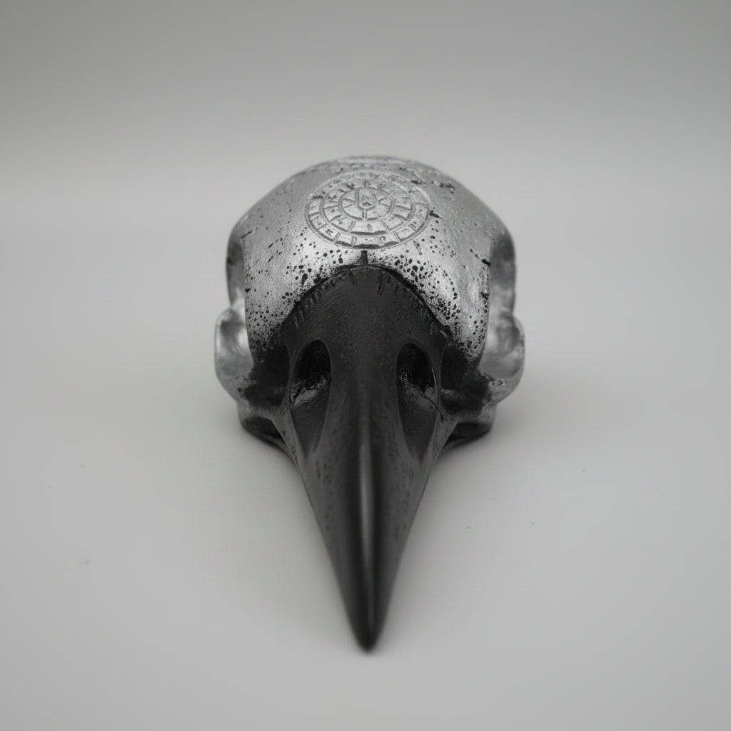 Hand painted black and silver raven skull resin display piece with engraved markings