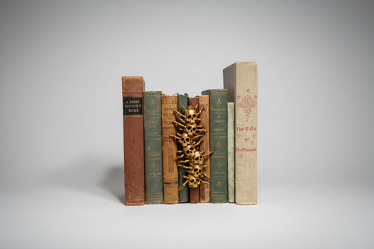 Skull centipede spine hugger gothic book decor