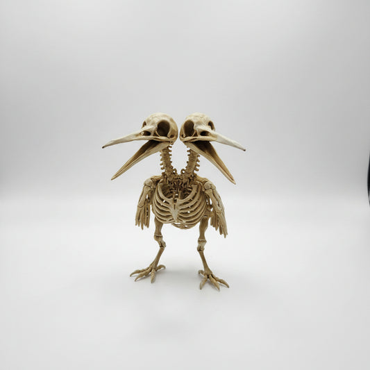 Hand painted two headed bird skeleton standing display gothic oddity decor