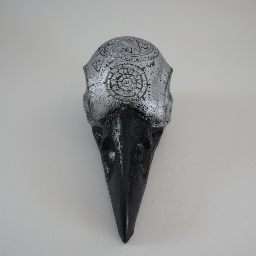 Occult inspired raven skull decoration for gothic home decor and curiosity shelves